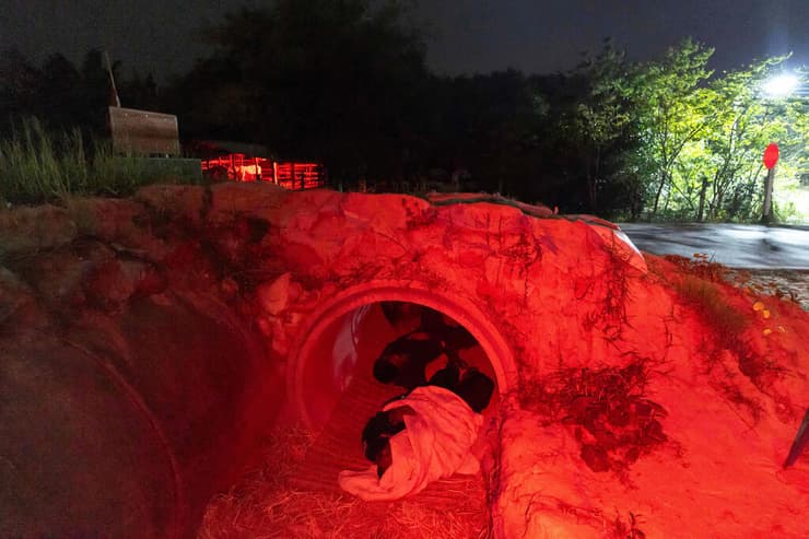 פליטים במחוז בורירם בתאילנד מוצאים מחסה מההפגזות וההפצצות (צילום: AP Photo/Wason Wanichakorn) פליטים מוצאים מקלט בצינורות בטון ב מחוז בורירם ב תאילנד