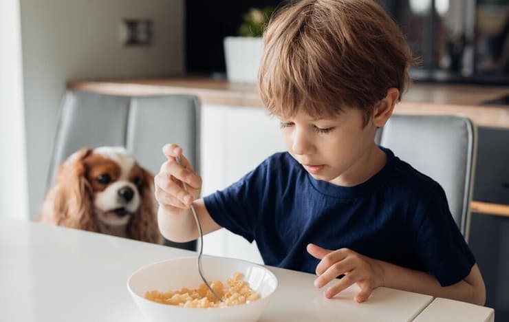 ''ילדים לא צריכים קורנפלקס'' (צילום: shutterstock) קורנפלקס