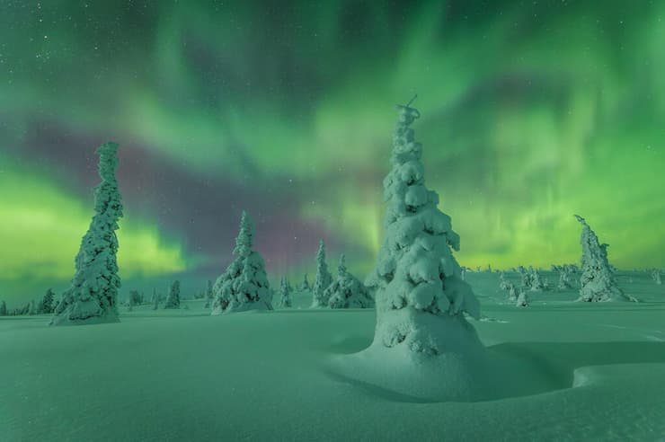 Frozen Silence Beneath the Lights – הפארק הלאומי ריסיטונטורי, פינלנד ( Nikki Born / The 2025 Northern Lights photographer of the year) צילומי הזוהר הצפוני היפים בעולם