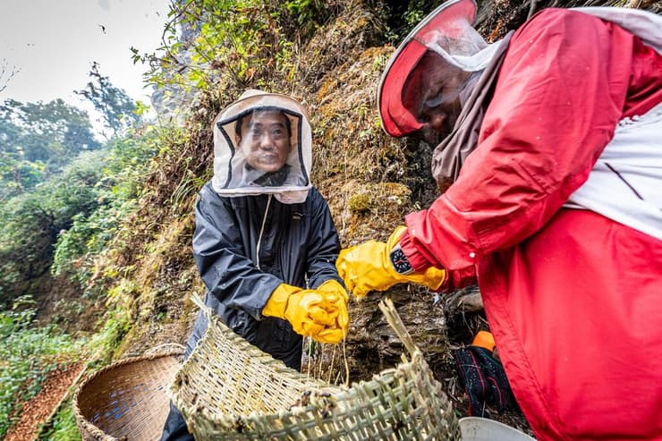 המסע בעקבות ציידי הדבש