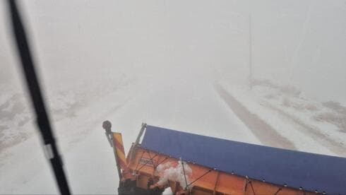 צילום: כפיר סבג צילום: כפיר סבג