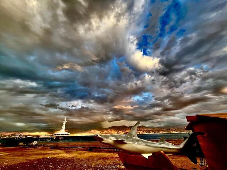 צילום: Adam Ravetch מפארק המצפה התת ימי באילת