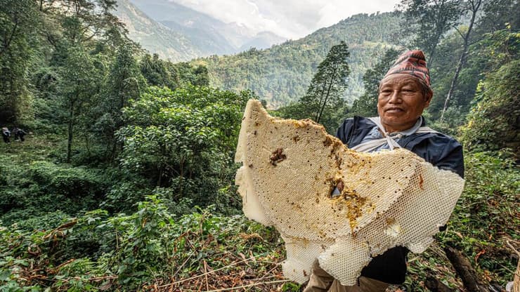 המסע בעקבות ציידי הדבש