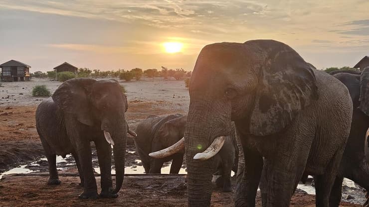 פוגשים חברים חמודים בדרך