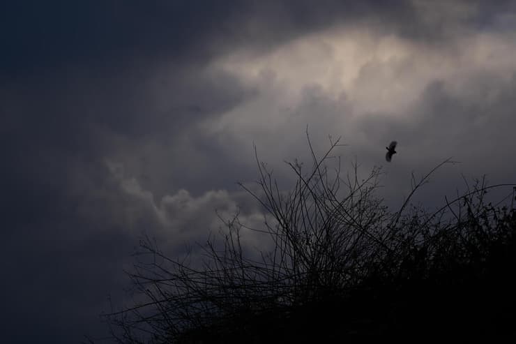 שמיים מעוננים בחוף בחדרה, הבוקר (צילום: AP Photo/Ariel Schalit) שמיים מעוננים בחדרה
