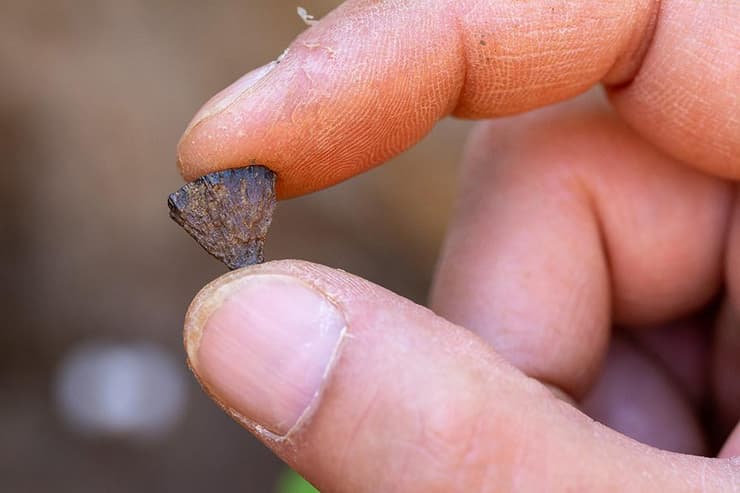 חתיכת פיריט שאותה באתר הארכאולוגי במחוז סאפוק