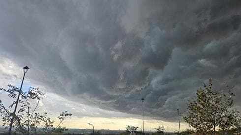 צילום: טל איתן צילום: טל איתן