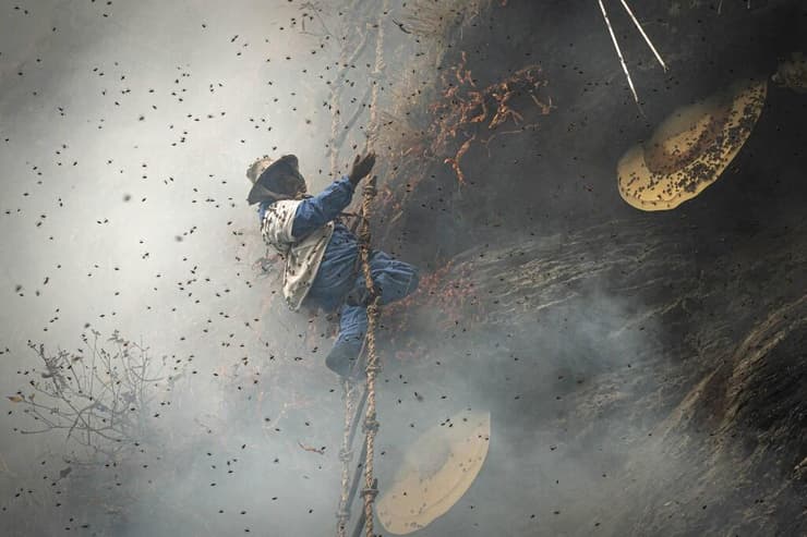 המסע בעקבות ציידי הדבש