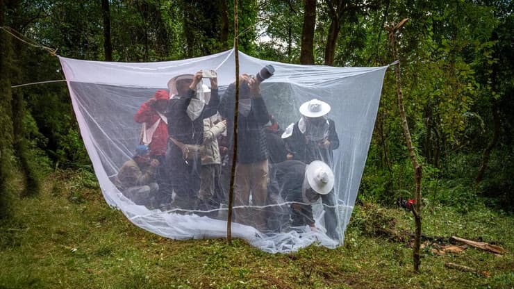 המסע בעקבות ציידי הדבש
