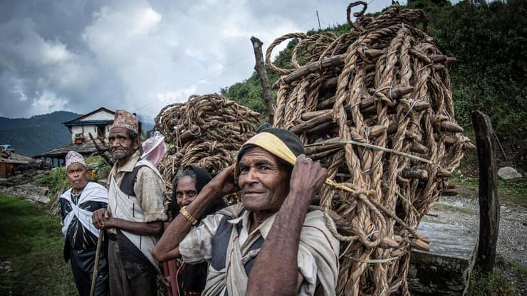 המסע בעקבות ציידי הדבש