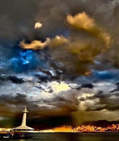 צילום: Adam Ravetch צילום: Adam Ravetch