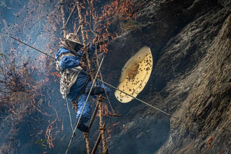 המסע בעקבות ציידי הדבש