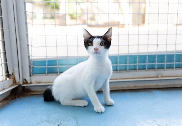 ברלין (צילום: מיכל פרנקל אלרואי) ברלין