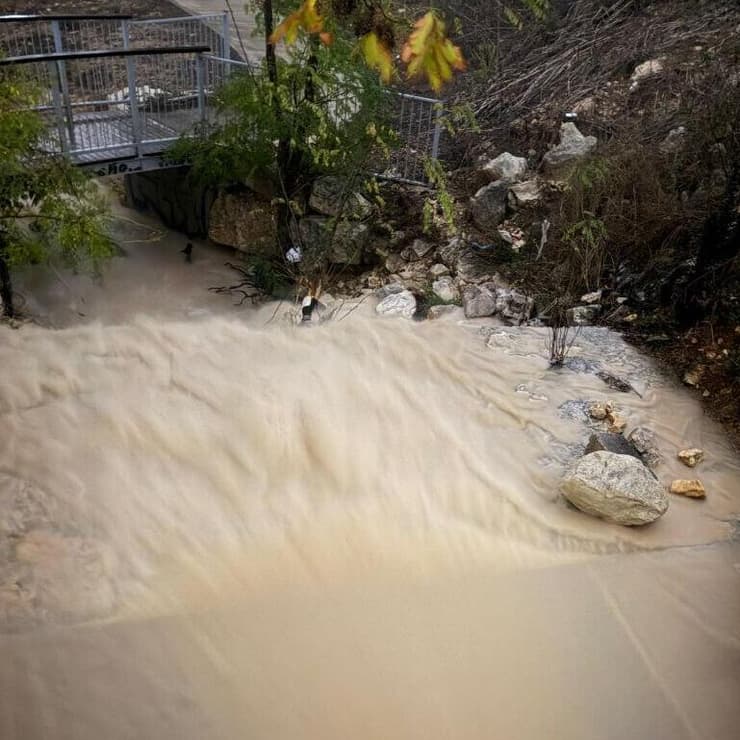 הצפות בנוף הגליל (צילום: דוברות נוף הגליל) נוף הגליל