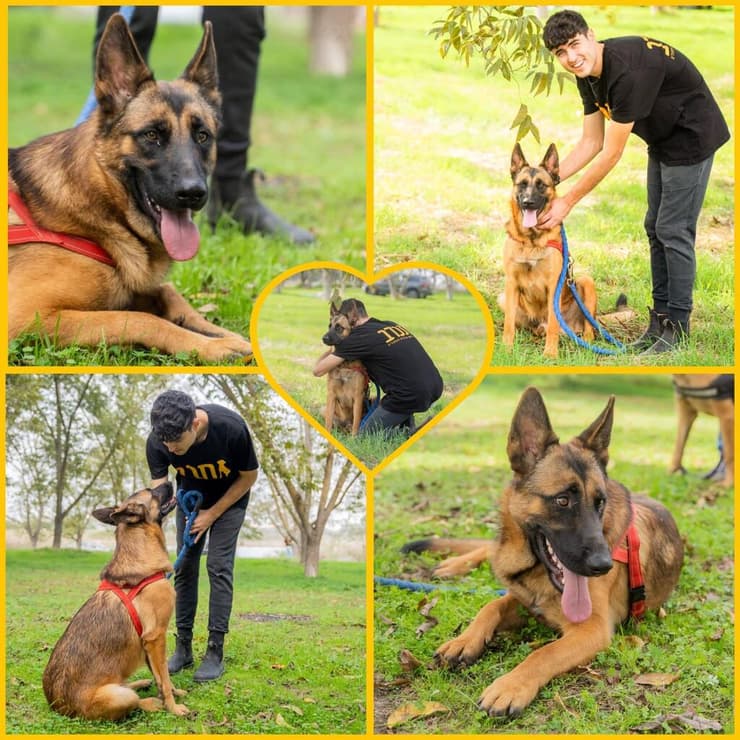 חיליק (צילום: גל קפיטולניק.) חיליק