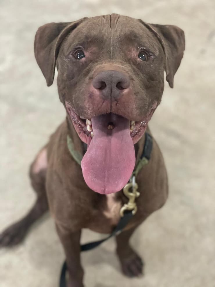 ג'רי (צילום: עמותת להתחיל מחדש) ג'רי