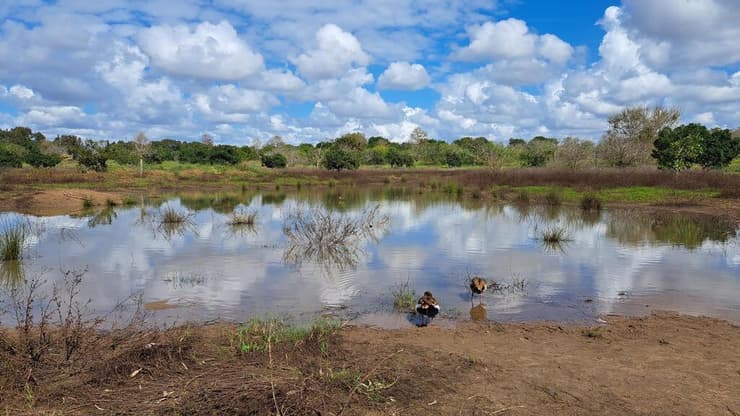 בריכת תל מיכל (צילום: ד"ר שרה אוחיון) בריכת תל מיכל