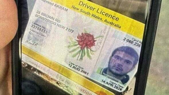 רישיון הנהיגה של המחבל בן ה-24. המשטרה פשטה על ביתו (צילום: לפי סעיף 27א' לזכויות יוצרים ) תעודת זהות של אחד היורים