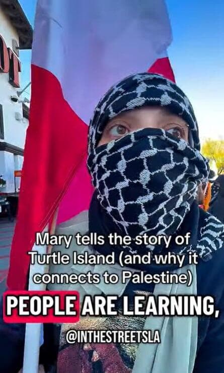  עמוד האינסטגרם של החזית לשחרור אי הצבים תכננו פיגועים ב לוס אנג'לס ארה"ב