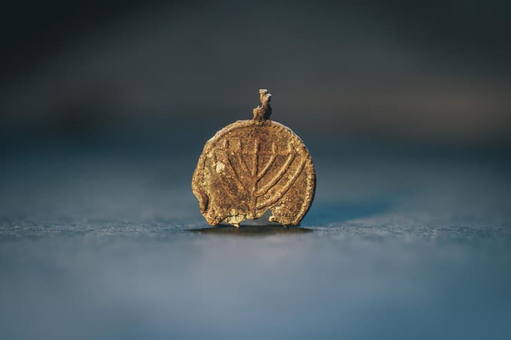 התליון ועליו סמל המנורה (צילום: אליהו ינאי, עיר דוד) התליון ועליו סמל המנורה