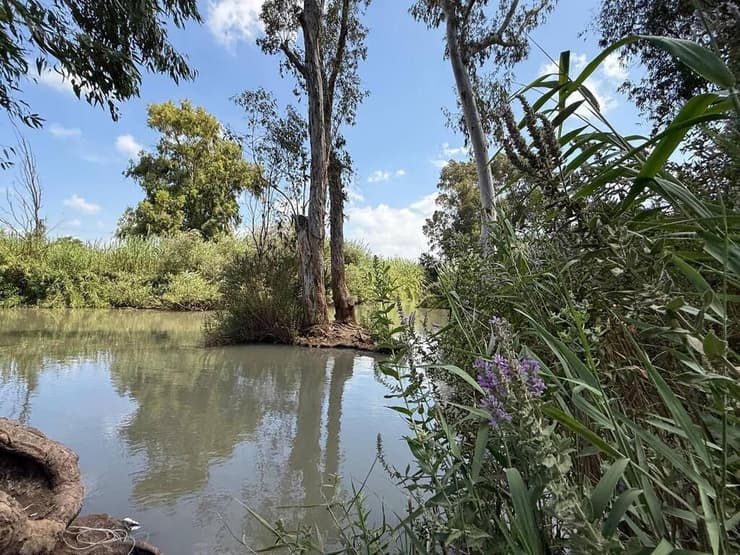מערכת לזיהוי זיהום נחל הירקון