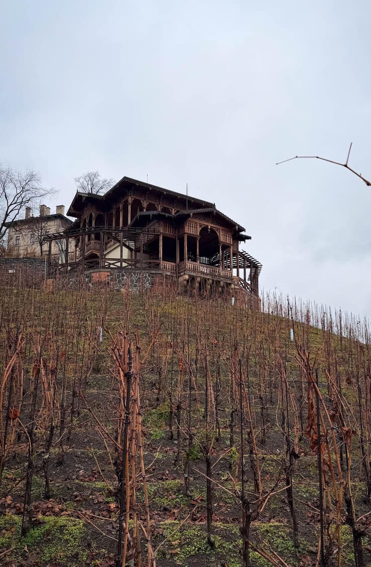 בית היין, בלב הכרמים של פארק גרבובקה (צילום: רועי אלמן) בית היין, בלב הכרמים של פארק גרבובקה