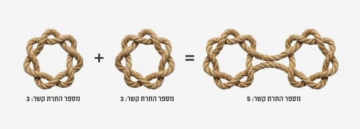 החיבור של קשר בעל שבעה צמתים עם קשר נוסף שנראה כמו תמונת הראי שלו, מניב מספר התרה קטן מסכום מספרי ההתרה של כל קשר בנפרד. הקשרים שנמצאו במחקר (איור: ליאת פלי באמצעות ג'מיני, מכון דוידסון לחינוך מדעי) החיבור של קשר בעל שבעה צמתים עם קשר נוסף שנראה כמו תמונת הראי שלו, מניב מספר התרה קטן מסכום מספרי ההתרה של כל קשר בנפרד. הקשרים שנמצאו במחקר