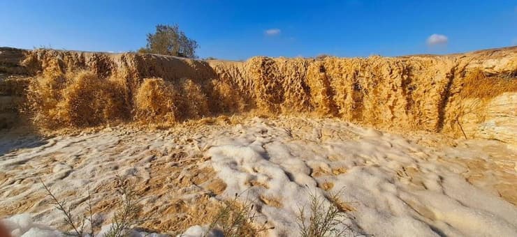 נחל צין שוצף