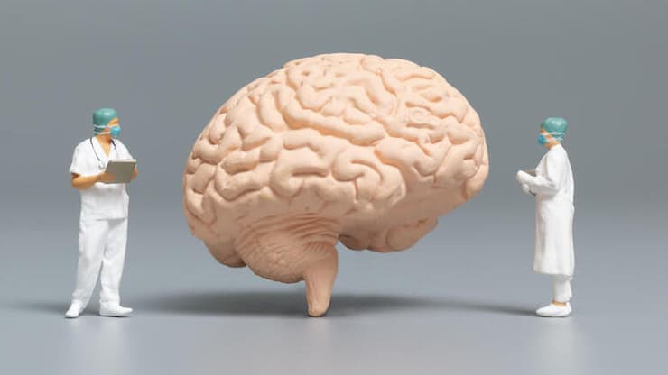 בריאות המוח