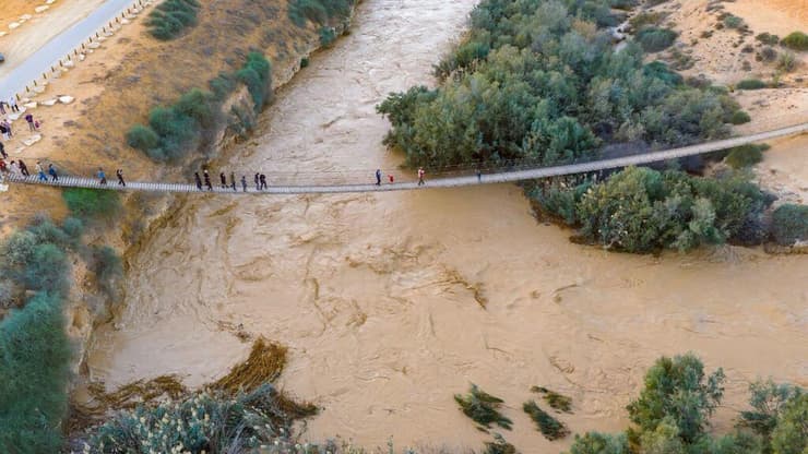 גשר החבלים מעל נחל הבשור (צילום: אייל בריברם) גשר החבלים מעל נחל הבשור