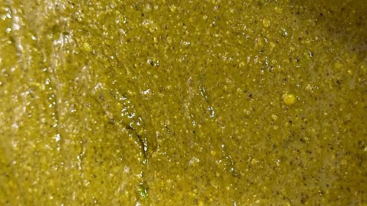 מחית פיסטוק (צילום: ספיר גורדו) פיסטוק