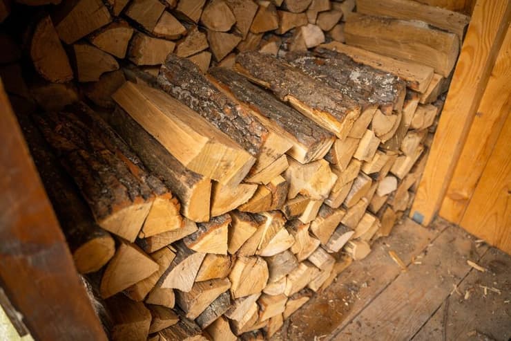 עצי אלון שנחטבו לצרכי הסקה