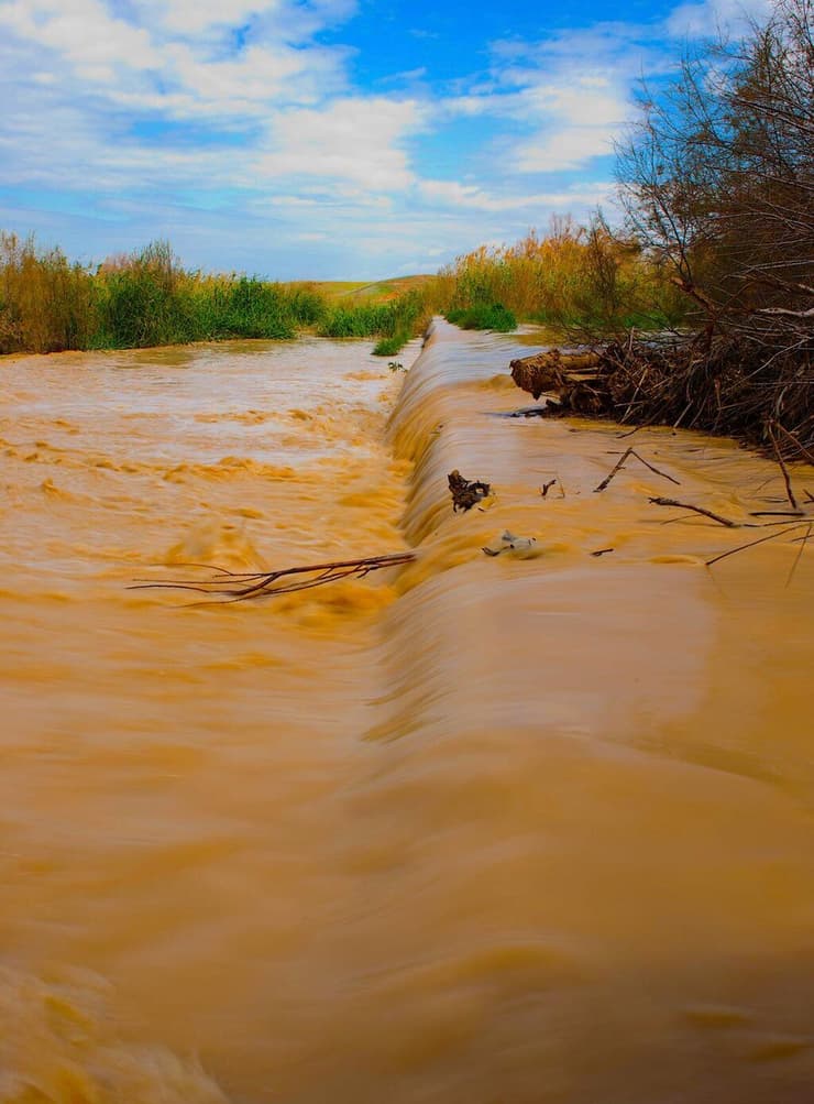 נחל הבשור (צילום: אייל בריברם) נחל הבשור