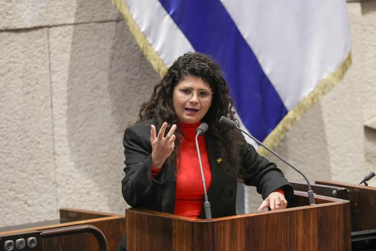 מתאחדת עם עלה ירוק. ח"כ שרן השכל (צילום: דני שם טוב, דוברות הכנסת) מליאת הכנסת