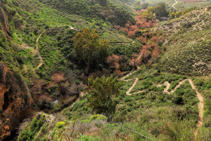 שמורת נחל עיון - המפלים צריכים עוד גשם (צילום: Protasov AN / shutterstock) שמורת נחל עיון