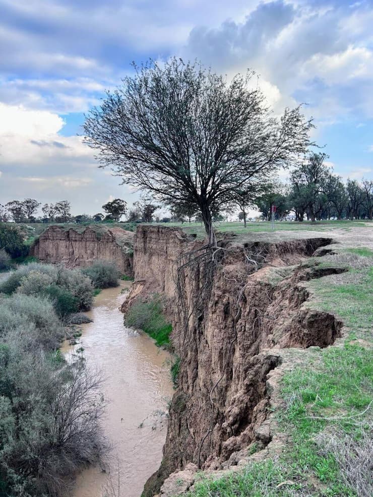 נחל גרר (צילום: מיכאל כשר) חגיגה עם הסנטות