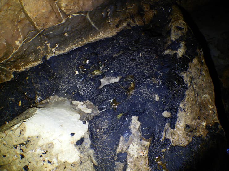 כתמי הזפת במערות הים בקפריסין (צילום: Ioannis Savva) כתמי הזפת במערות הים בקפריסין