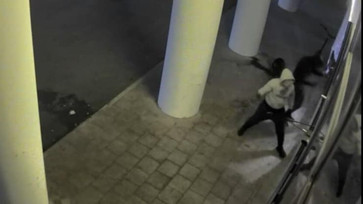 שני רעולי פנים גרמו לנזק רב לגלידריה בהרצליה