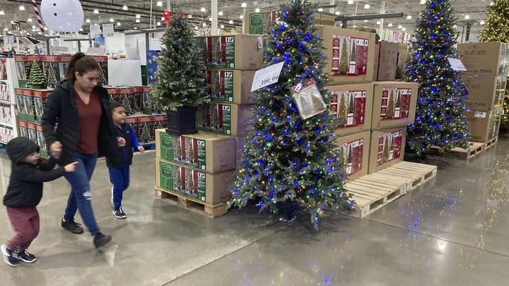 עצי כריסמס מוצגים למכירה