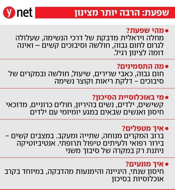 אינפו שפעת