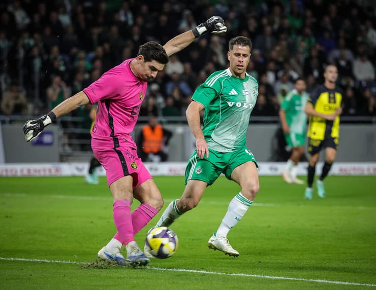 מיגל סילבה מול גיא מלמד