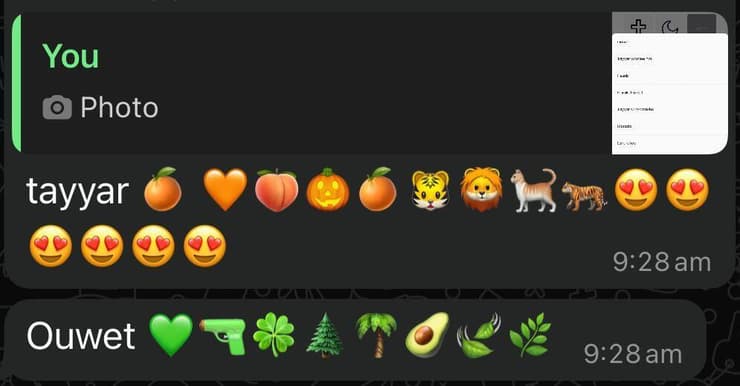 אפליקציית היכרות לבנונית לבנון בשם תעארוף שמעוררת מחלוקת בגלל שמאפשרת לסנן לפי דת