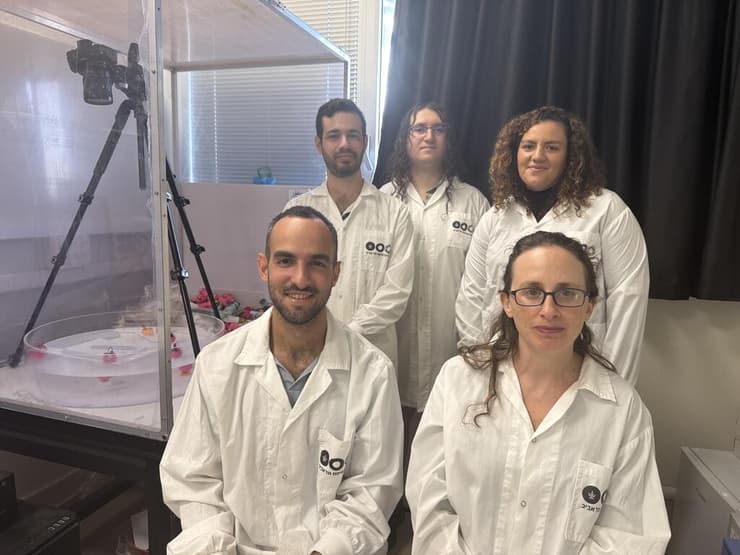 צוות החוקרים