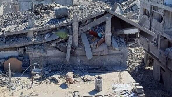 דירות להשכרה במחנה שאטי ברצועת עזה