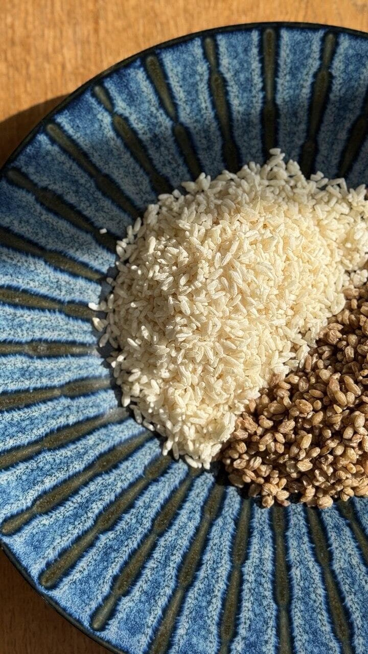 פטריית קוג'י על אורז וחיטה