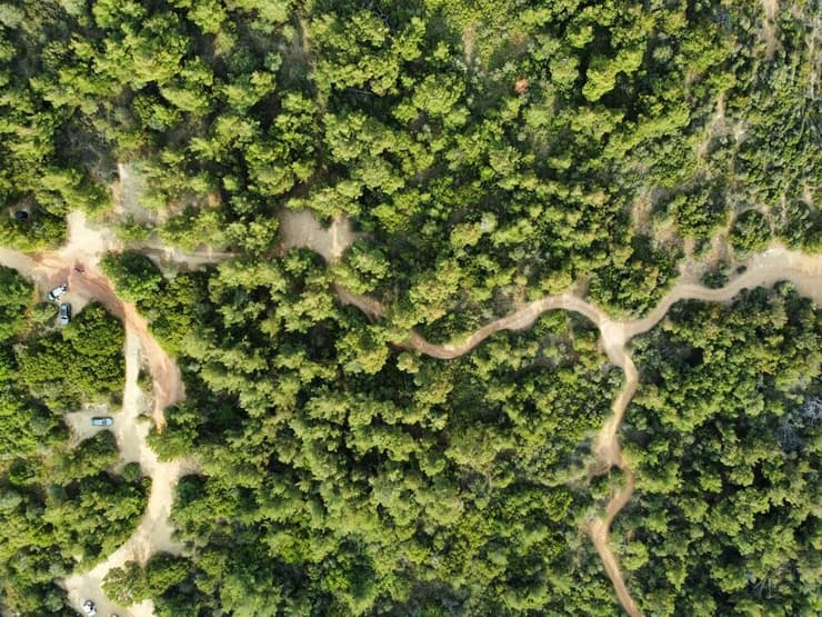 אזור מיוער ביוון, שמגיע לשיא צמיחתו חודשיים מאוחר יותר בהשוואה למערכות אקולוגיות אחרות בעלות אקלים דומה