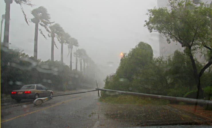 גשמי סערה בפיניקס, שבשונה מטוסון שמרוחקת 160 קילומטרים בלבד ממנה במדינת אריזונה, יורדים בינואר ולא בעונת המונסונים בקיץ