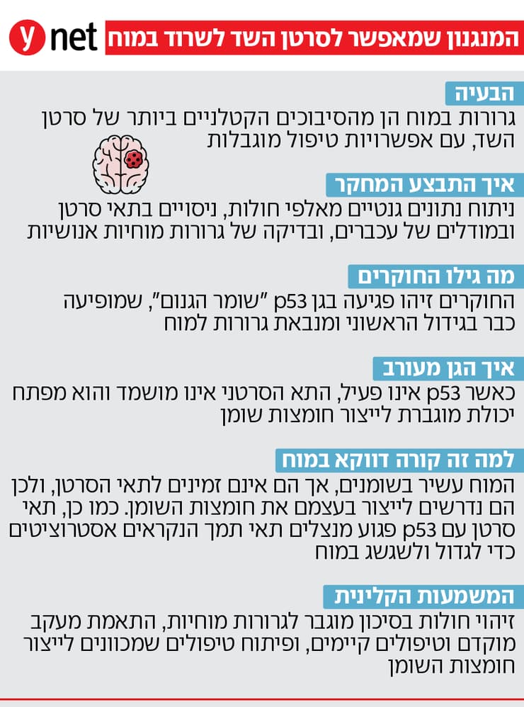 מחקר גרורות מוחיות סרטן השד אינפו