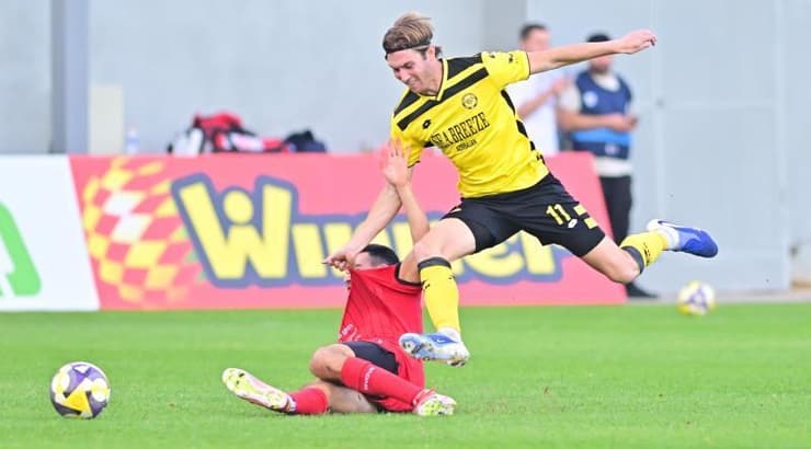 ווילסון האריס מנסה להגיע