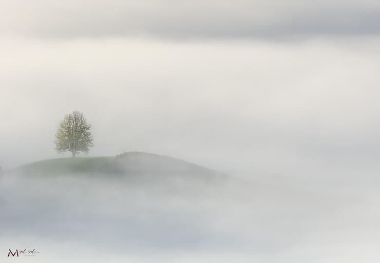 רגעים של נחת בערפל